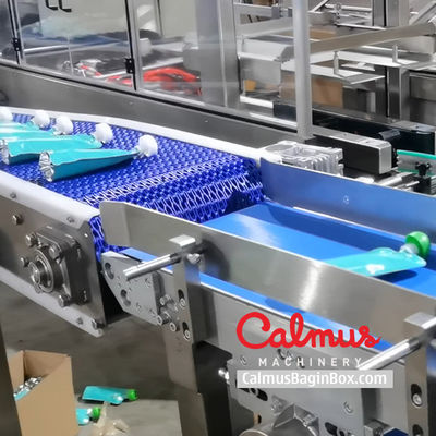 Case Packer Machine Pouch Packaging Line for Doybags