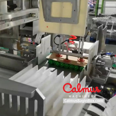 Case Packer Machine Pouch Packaging Line for Doybags