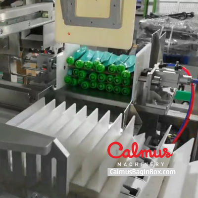 Case Packer Machine Pouch Packaging Line for Doybags