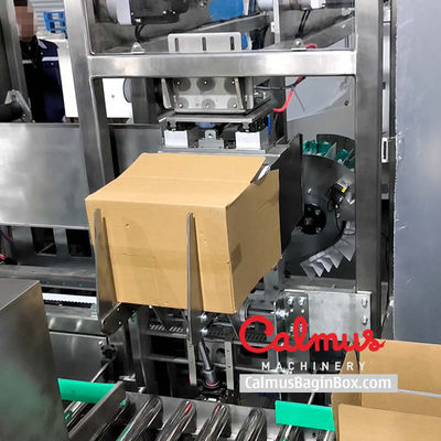 Case Packer Machine Pouch Packaging Line for Doybags