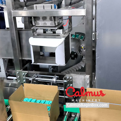 Case Packer Machine Pouch Packaging Line for Doybags