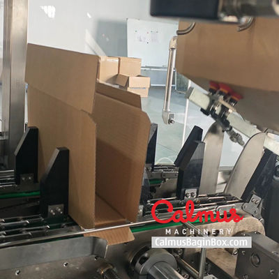 Wrap-Around Pouch Case Packer Machine for Packaging Doypacks