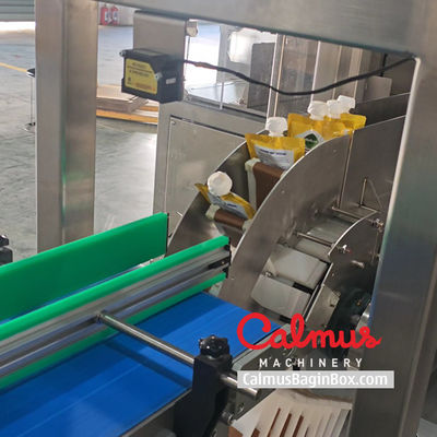 Wrap-Around Pouch Case Packer Machine for Packaging Doypacks