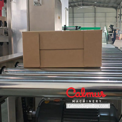 Wrap-Around Pouch Case Packer Machine for Packaging Doypacks
