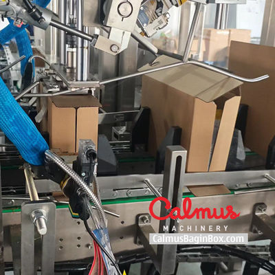 Wrap-Around Pouch Case Packer Machine for Packaging Doypacks