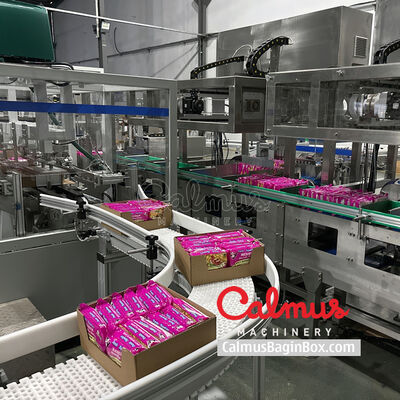 Tray Packer for Instant Ramen Pillow Packs