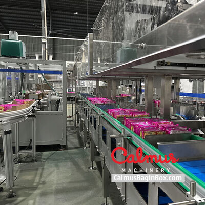 Tray Packer for Instant Ramen Pillow Packs