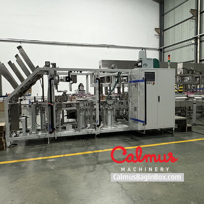 Tray Packer for Instant Ramen Pillow Packs