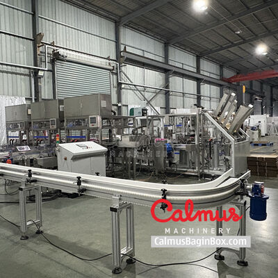 Tray Packer for Instant Ramen Pillow Packs