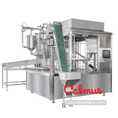 Liquid Spouted Pouch Filling and Case Packing Complete Line