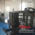 Fully-automatic Bag in Box Syrup Filling Machine Cartoning Line