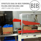 Spoutless Carton Liner Bag in Box Filling and Packaging Line for Fluids
