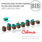 Spoutless Carton Liner Bag in Box Filling and Packaging Line for Fluids