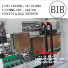 Case Erector and Bag Inserter For Forming Lined Cartons