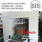Case Erector and Bag Inserter For Forming Lined Cartons
