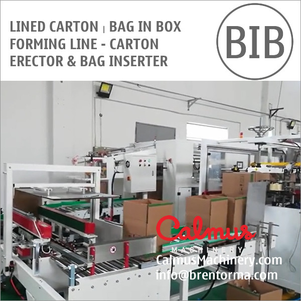 Lined Carton Bag in Box Forming Line - Carton Erector and Bag Inserter