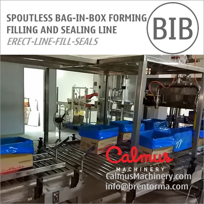 Spoutless Carton Liner Bag in Box Filling and Packaging Line for Fluids